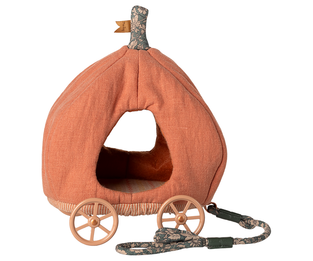 Carrozza zucca