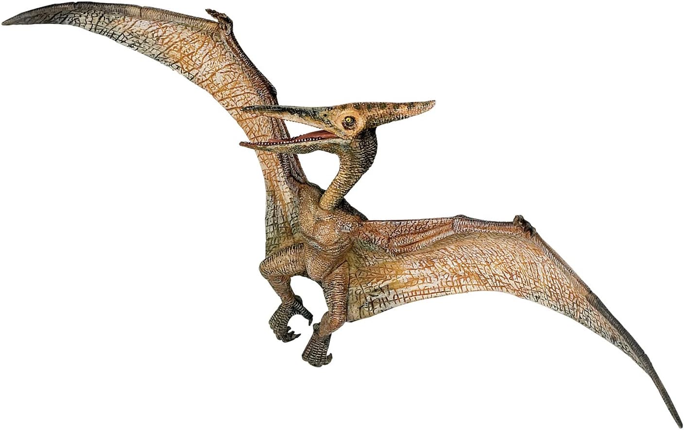 Pteranodonte