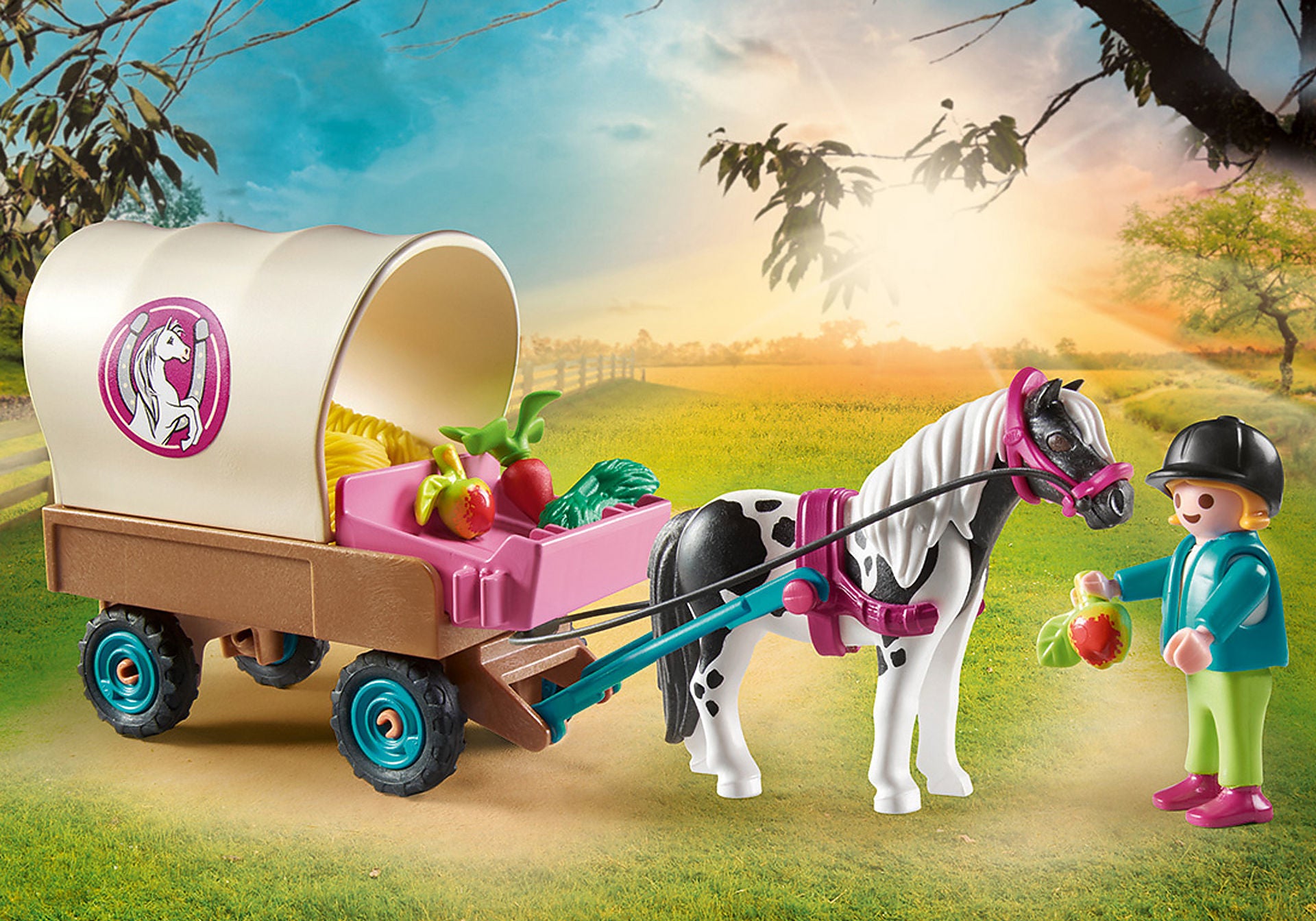 Carrozza con Pony
