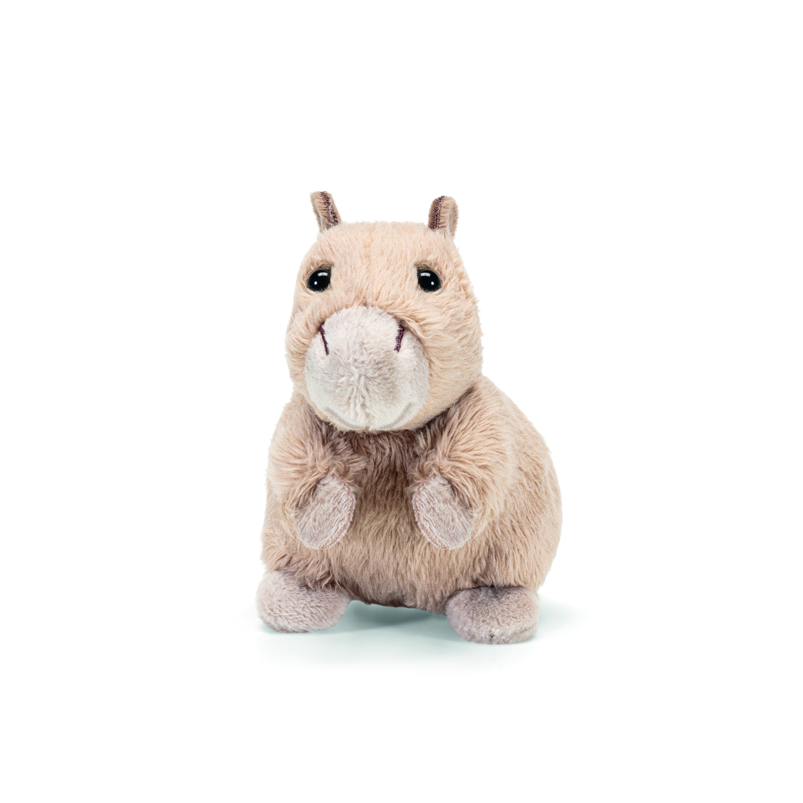 Capibara
