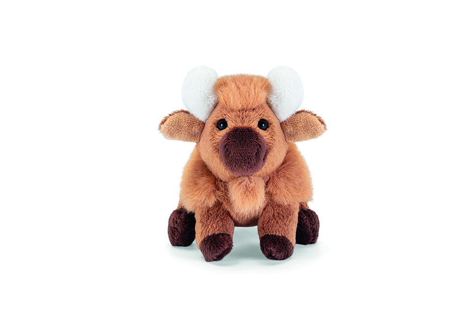 Bisonte