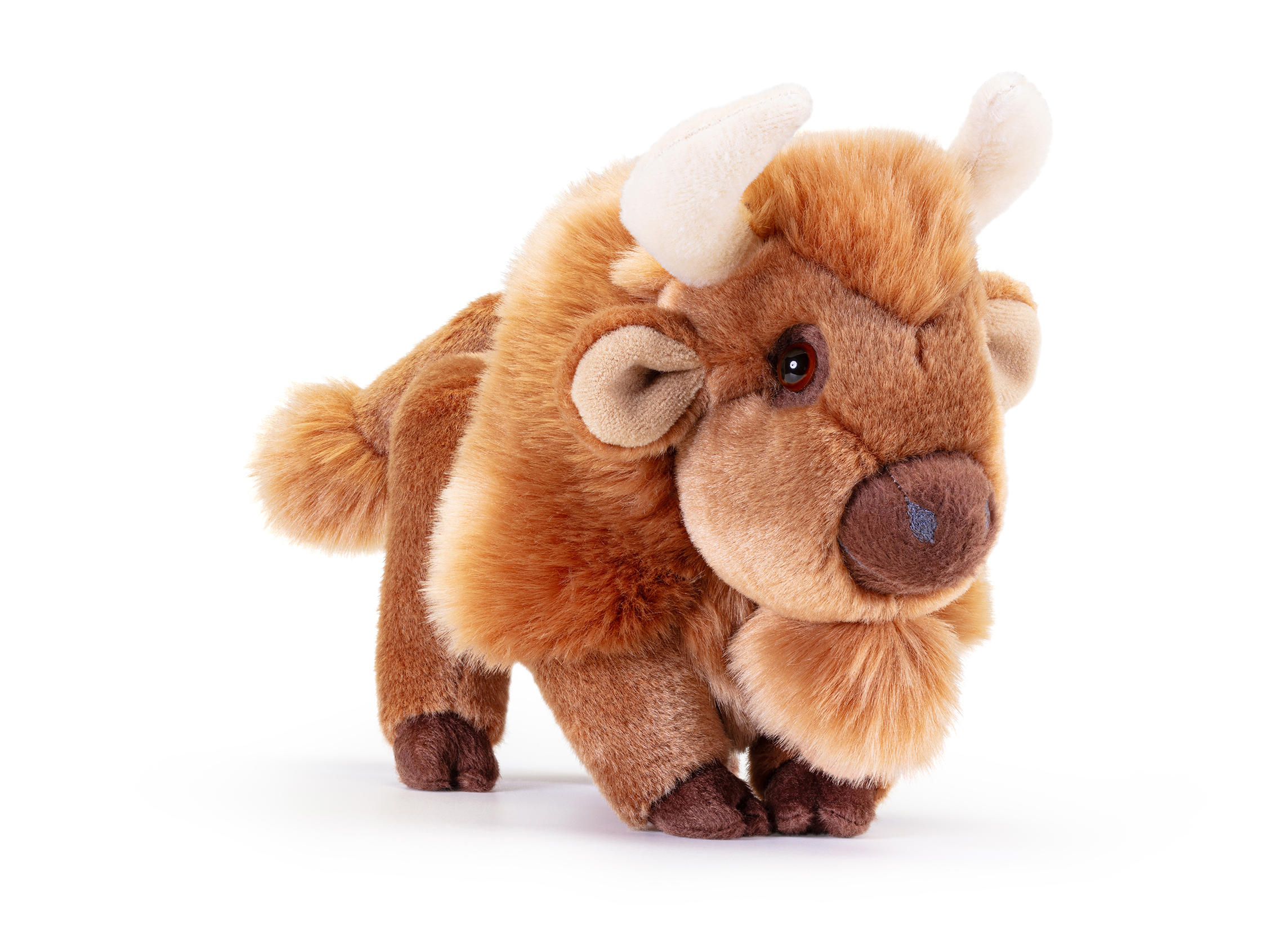 Bisonte Rocky