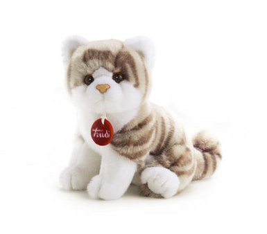 Gattino Brad tigrato grig.sed.