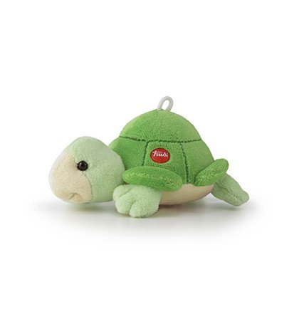 Tartaruga
