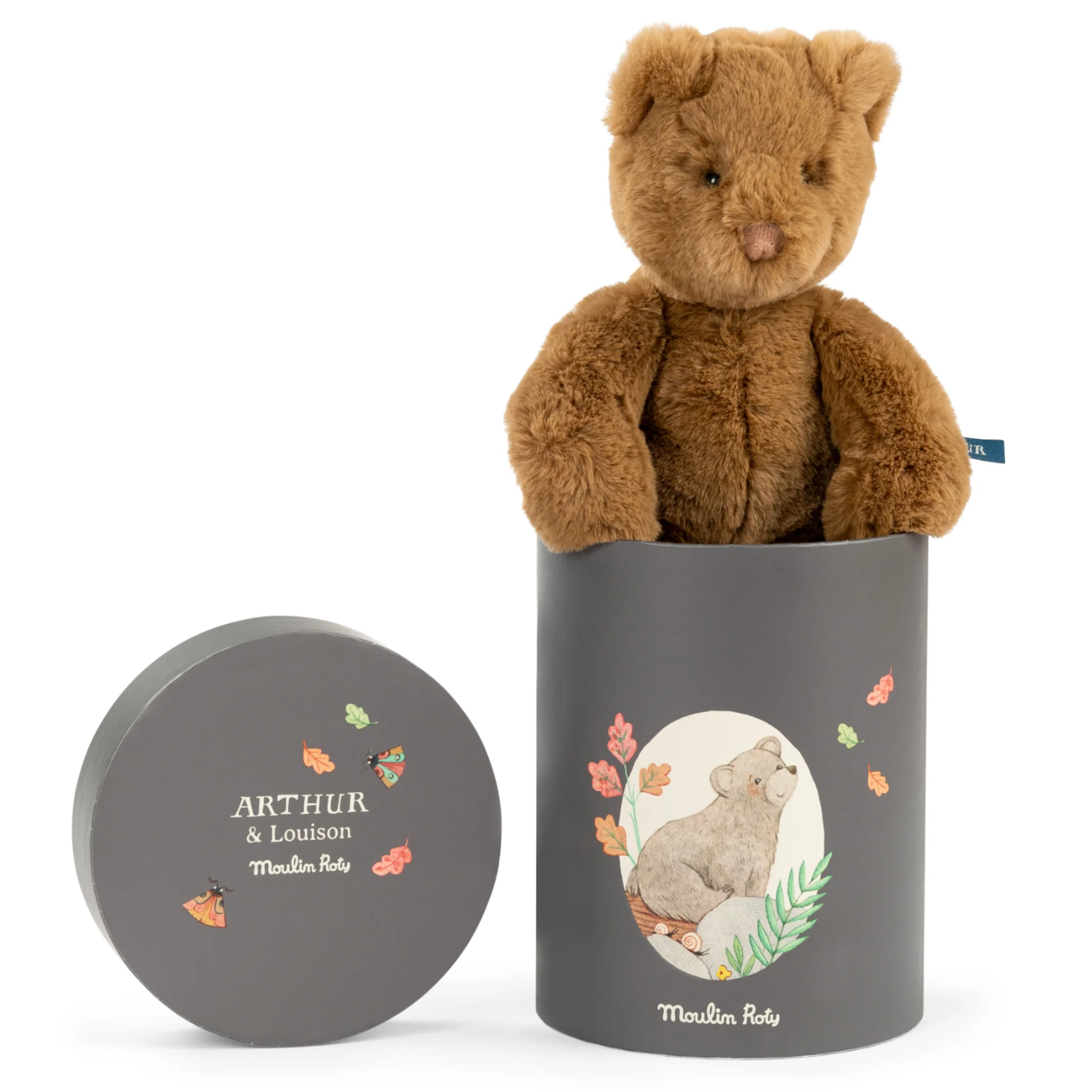 Orso Arthur ... 